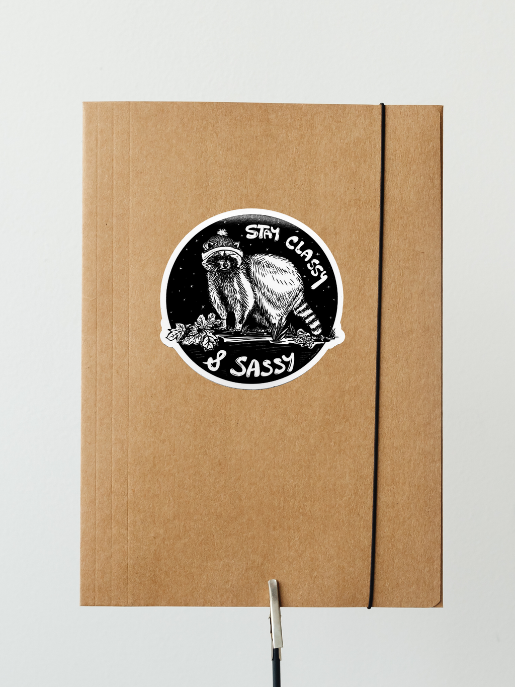 RACCOON Eco Vinyl Stickers