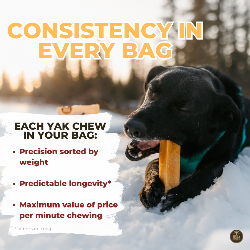 Blueberry Himalayan Yak Chew (MEDIUM)