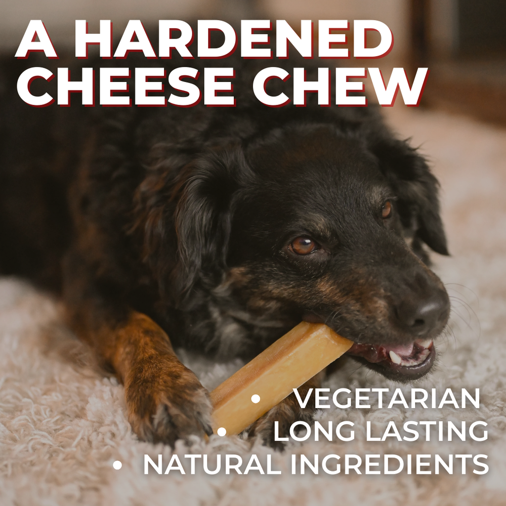 Blueberry Himalayan Yak Chew (MEDIUM)