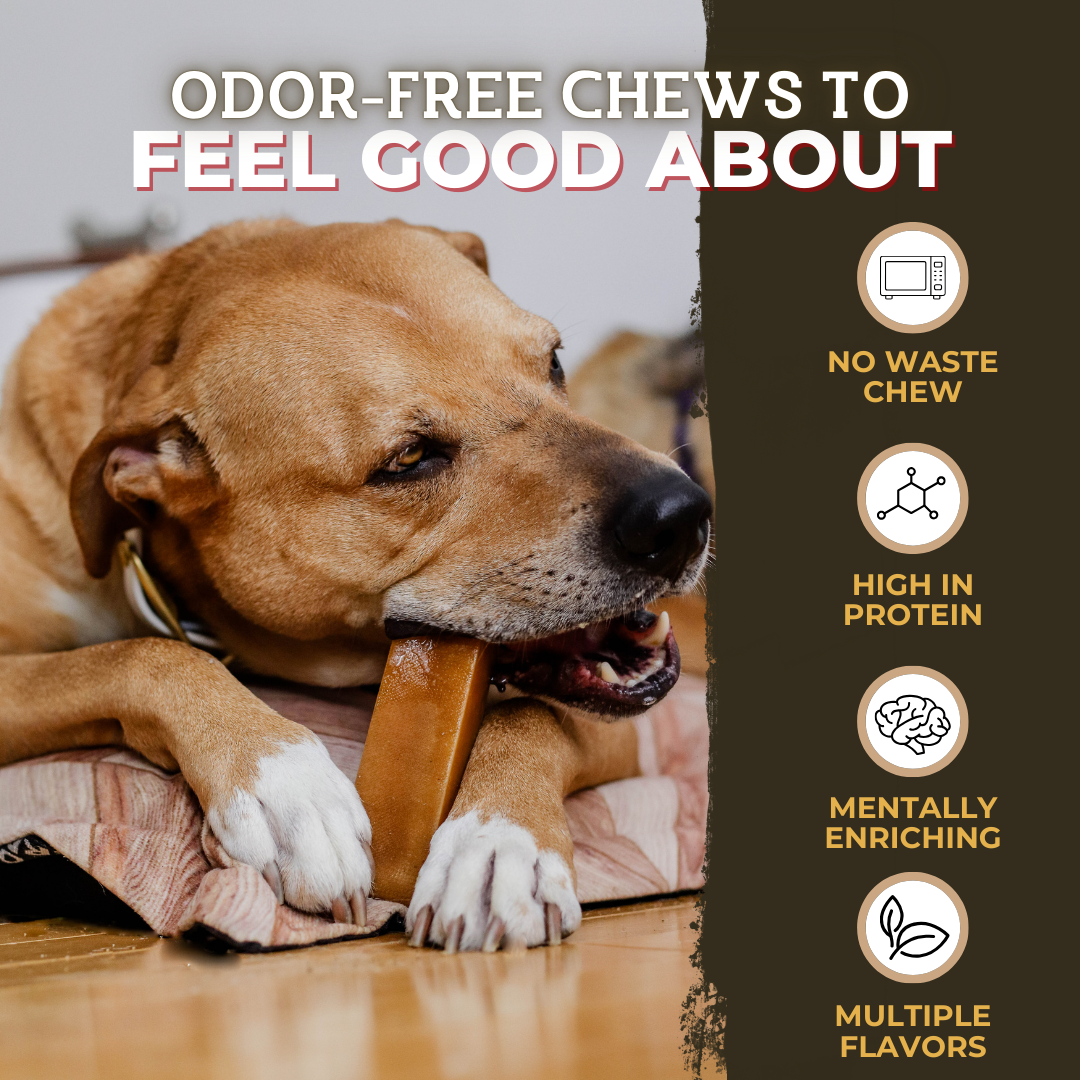 Blueberry Himalayan Yak Chew (MEDIUM)