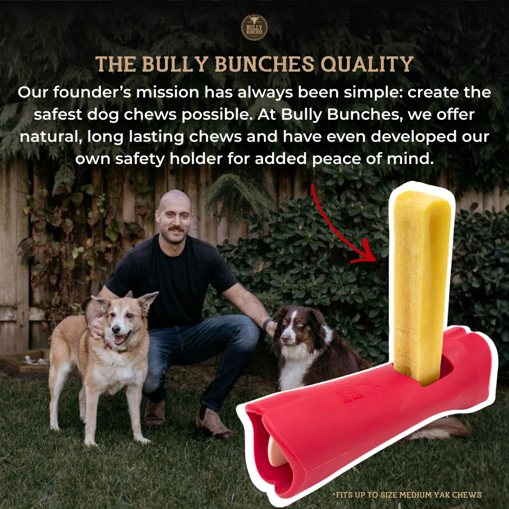 Blueberry Himalayan Yak Chew (MEDIUM)